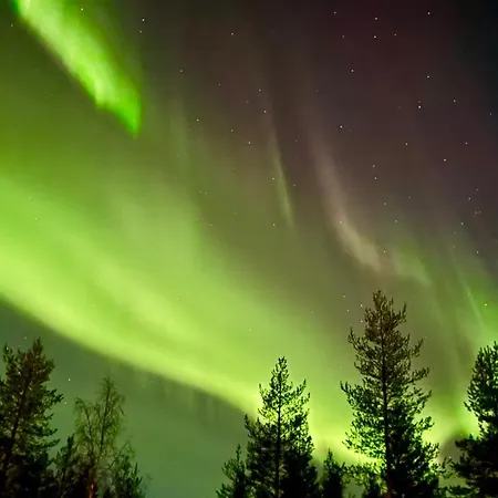 Kelokurki - The Luxury Where Serenity Meets The Northern Lights 列维