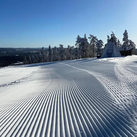 Kelokurki - The Luxury Where Serenity Meets The Northern Lights 公寓 列维