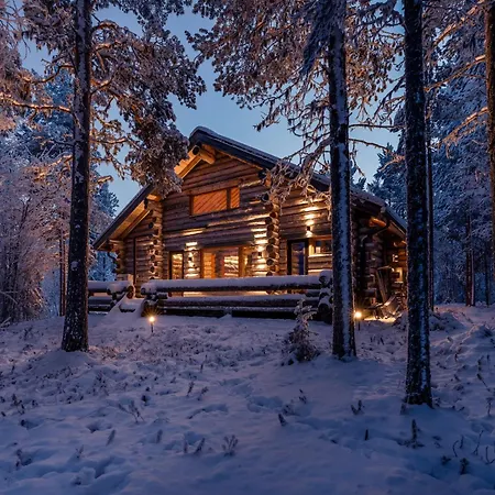 Kelokurki - The Luxury Where Serenity Meets The Northern Lights Леви