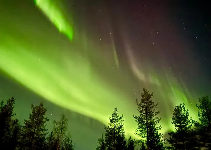 Kelokurki - The Luxury Where Serenity Meets The Northern Lights レヴィ