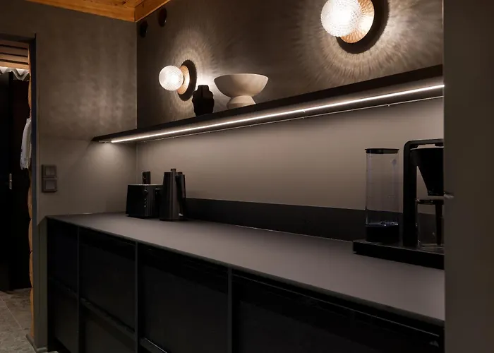 Kelokurki - The Luxury Where Serenity Meets The Northern Lights * レヴィ