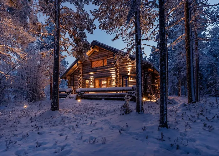 Kelokurki - The Luxury Where Serenity Meets The Northern Lights レヴィ